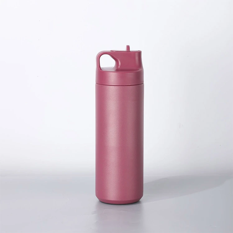 Stainless Steel Insulated Water Bottle